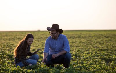 From lab to harvest: The development and life of TerraMax’s microbial inoculants for soybeans