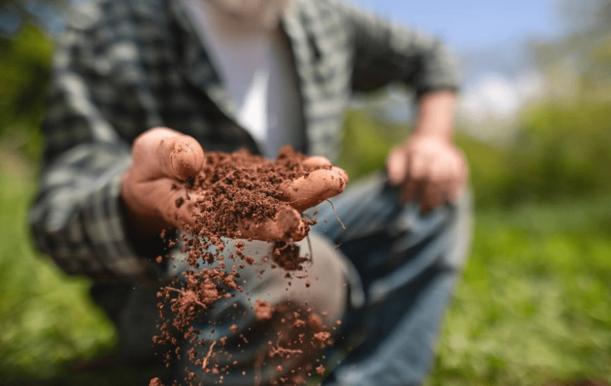 Soil health versus soil tilth: What’s the difference and why do they matter to farmers?