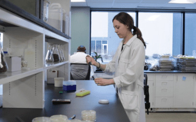 Improving soil health practices could transform your soil into a stronger carbon sink