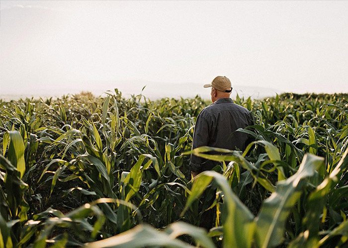 “Corn is king” for business partners, who each supply their own kernels of experience