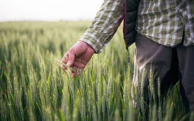 A love of science evolves into a thriving business