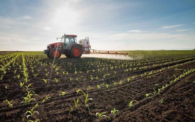 TerraMax’s key to success? Helping farmers farm better