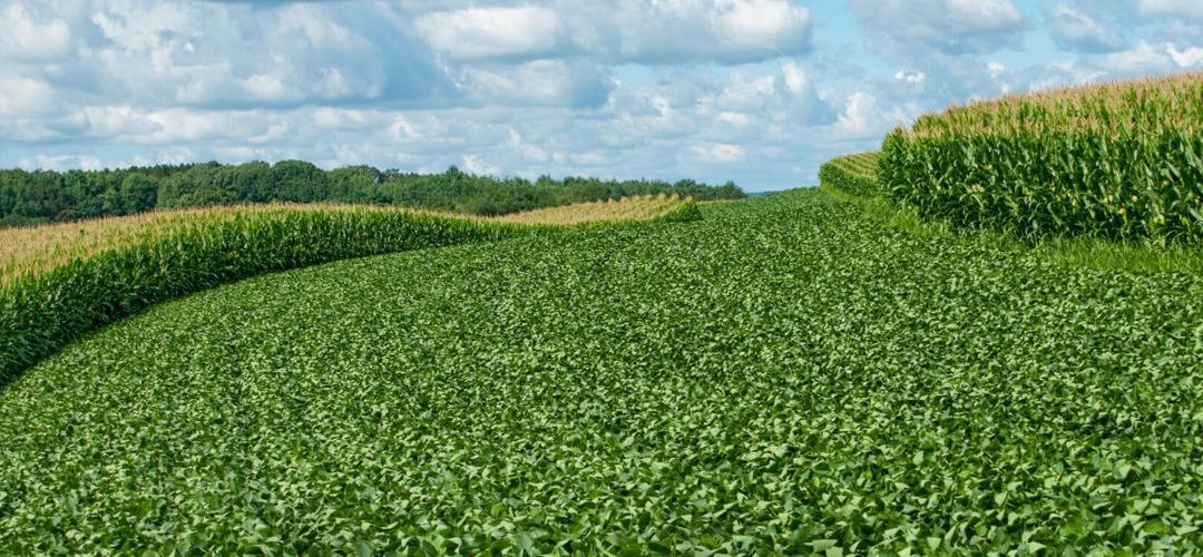 Tried and true: TerraMax boasts four Beck’s Practical Farm Research Proven products