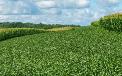 Tried and true: TerraMax boasts four Beck’s Practical Farm Research Proven products